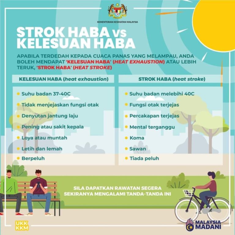 strok haba 1 1024x1024